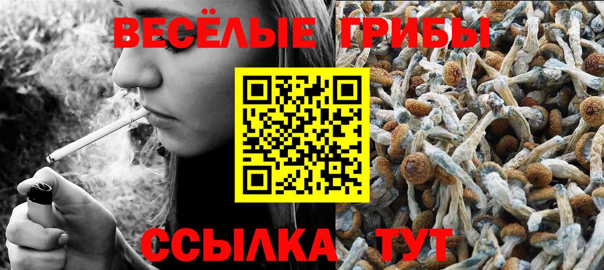 Холмск  Псилоцибиновые грибы GOLDEN TEACHER  Псилоцибиновые грибы Cubensis  Вход с VPN 