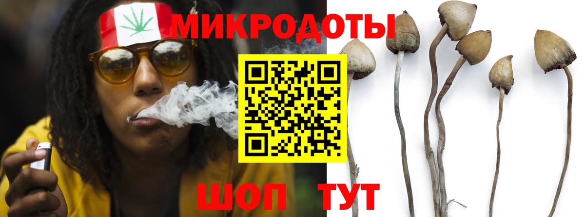 Псилоцибиновые грибы ЛСД Холмск